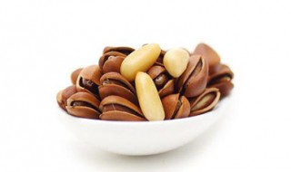 松子有什么功效 松子的食用禁忌