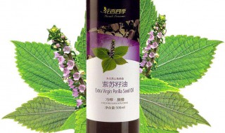 紫苏仁油的作用 这些你都知道吗