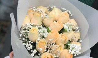 送花一般送几朵 其中奥秘你懂吗