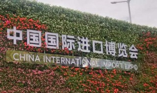怎么看进口博览会 祖国真的是越来越强大了