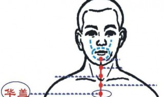 华盖穴的位置和作用 华盖穴位置和作用
