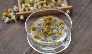 鲜菊花的食用方法 四种做法送给你