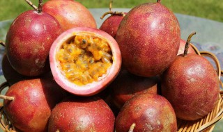 香园果的功效与作用 香园果有什么作用