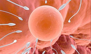 例假后2天是安全期吗 现在你明白了吗