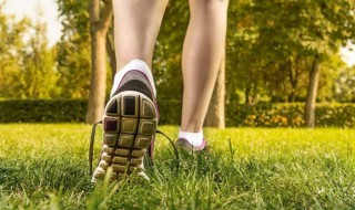 早上空腹走路好吗 给大家具体介绍一下