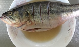 鱼如何去腥味 来学习一下吧