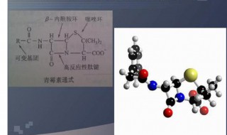 青霉素的功效与作用 你了解过吗