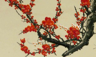 梅花出枝方法 梅花出枝5大方法