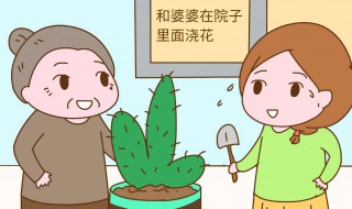 老公常年不在身边怎么和婆婆相处 婆媳关系不好