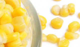 喂羊玉米粒的正确方法 喂羊玉米粒的正确方法是什么