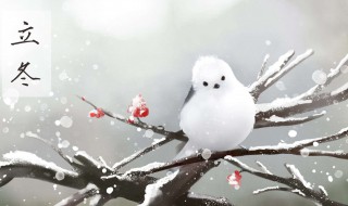 立冬忌讳什么 这4忌一定要牢记