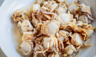 冰冻扇贝肉的做法 冰冻扇贝肉怎么做