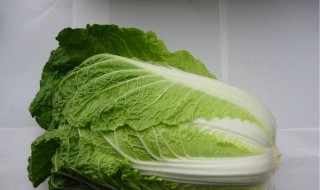 白菜施肥方法 用量是多少呢
