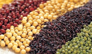 增肌最便宜的食物 为什么?