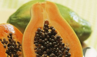 不胀气的食物有哪些 常吃的有哪些