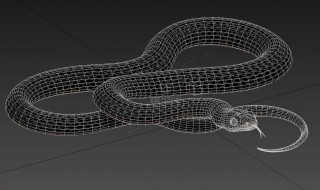 湛江雷州黑蛇公来历 你知道么