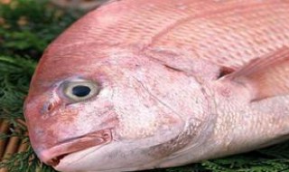 岸钓鲈鱼技巧与方法 鲈鱼是很美味的一种食材