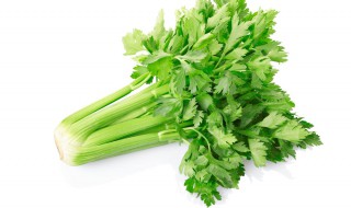 芹菜减肥法 芹菜怎么减肥