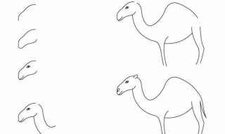 简笔画教程步骤 画鱼简笔画教程