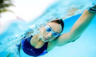 学习自由泳的步骤 学游泳要知道