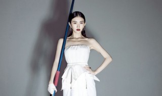 景甜西安哪里人 什么时候出世