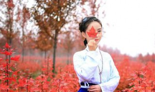 罗庄区黄山镇要搬迁吗 你知道吗