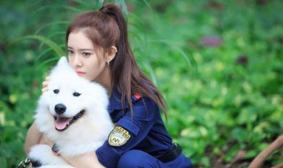 宋妍霏是哪国国籍 她是做什么的