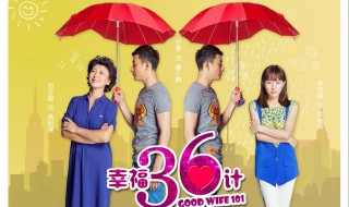 幸福36计大结局 有剧情了吗