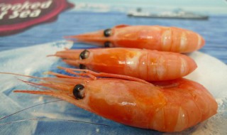 为什么北极虾是熟的 你知道为什么吗
