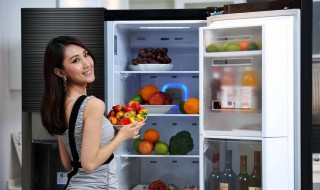 冰箱不能放三样东西 是为什么
