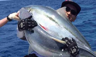 海钓针鱼绝招 这里有三种方法