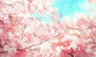 樱花泥教程 怎么做樱花泥