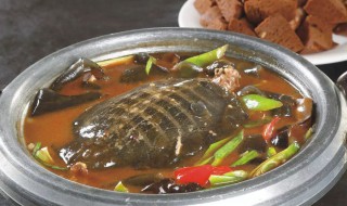 甲鱼泡馍的做法 甲鱼泡馍怎么做