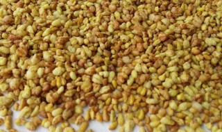 苦荞茶禁忌 苦荞茶注意事项