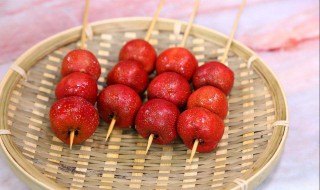 山楂种子能直接种吗 应该怎么种呢