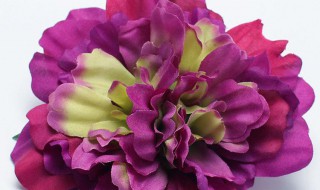 大丽花的折法 大丽花的步骤教程