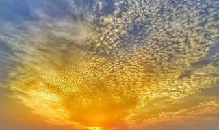 鱼鳞云有什么预兆 希望对大家有所帮助