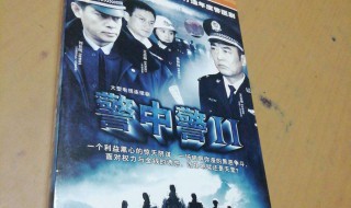 警中警2大结局 最后做了什么