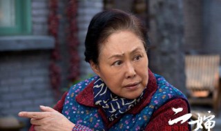 二婶电视剧大结局 电视剧二婶结局剧情介绍