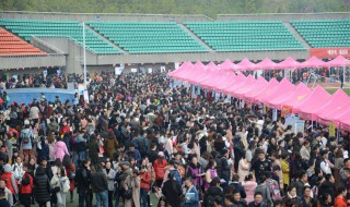 师范毕业后如何就业 就业方向是什么