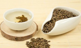 喝决明子的禁忌 喝决明子的注意事项