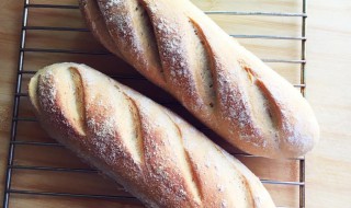 法棍适合减肥的人吃吗 热量低饱腹感强