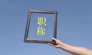 高级职称评定与学历要求 中高级职称评定学历条件