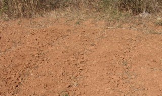 大田土壤板结怎么办 经验内容仅供参考