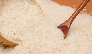 散装大米怎么选 散装大米如何挑选
