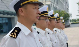 纪律部队是什么 全部包括什么