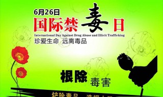 我国禁毒工作的法治之策是什么 你知道吗