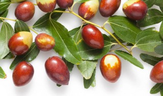 如何识别金丝小枣 金丝小枣的辨别方法