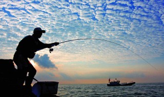 海钓鱼线的种类和选择 海钓鱼线的三大类与用途
