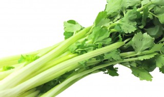 芹菜如何使用尿素 现在你知道了吗